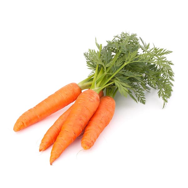 Carrot