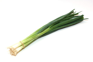 Bunching Onion