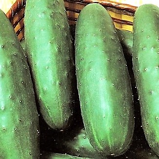 cucumber slicer reviews cucumber slicer reviews