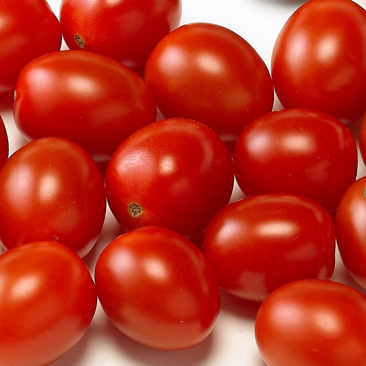 Read more about the article Snack tomato Dattored F1