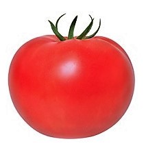 Tomato Indeterminate