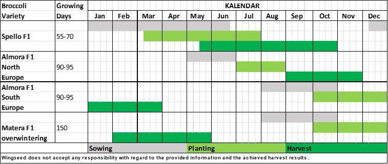 Planning Table