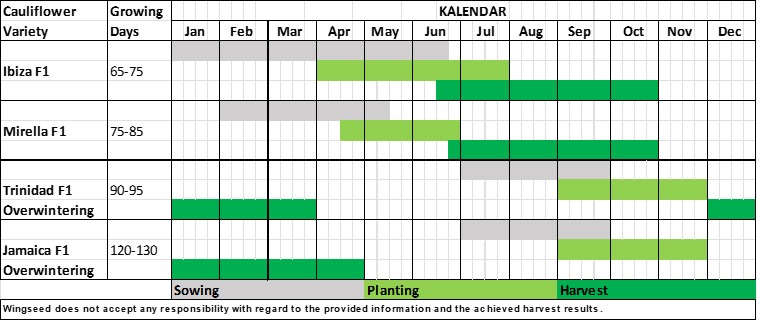 Planning Table