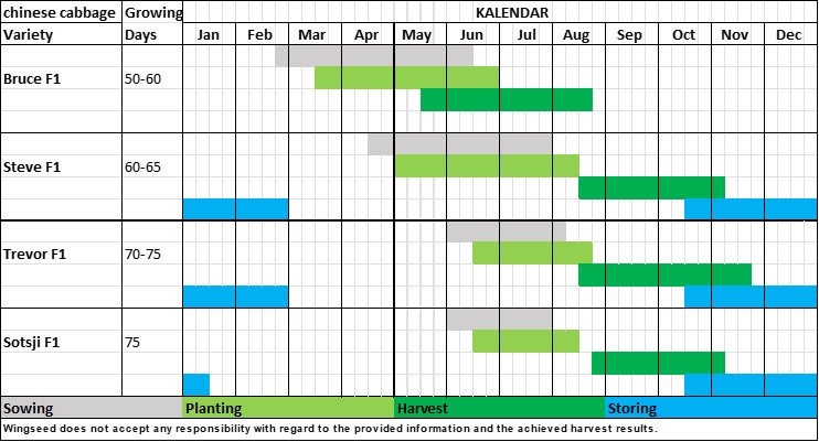 Planning Table