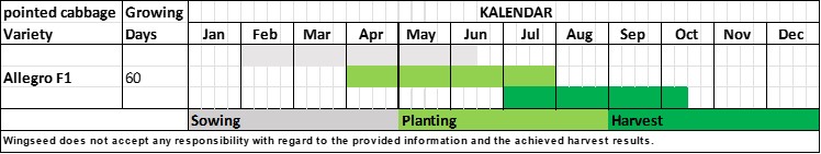 Planning Table