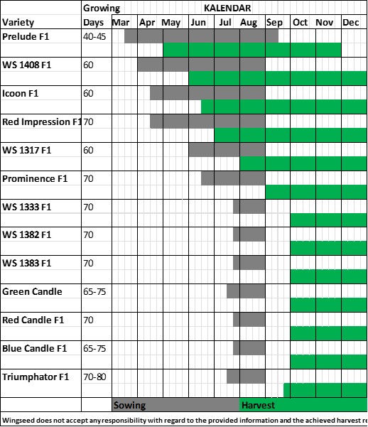 Planning Table