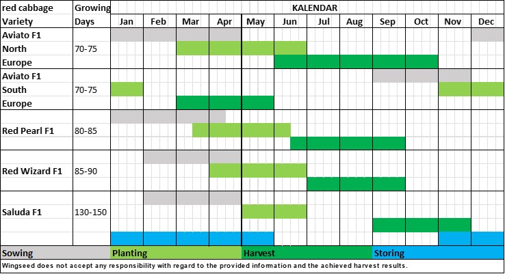 Planning Table