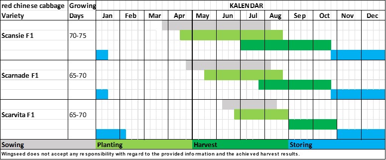 Planning Table