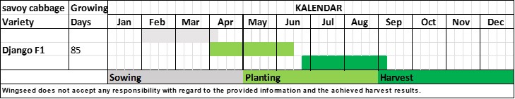 Planning Table