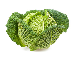 Cabbage Savoy