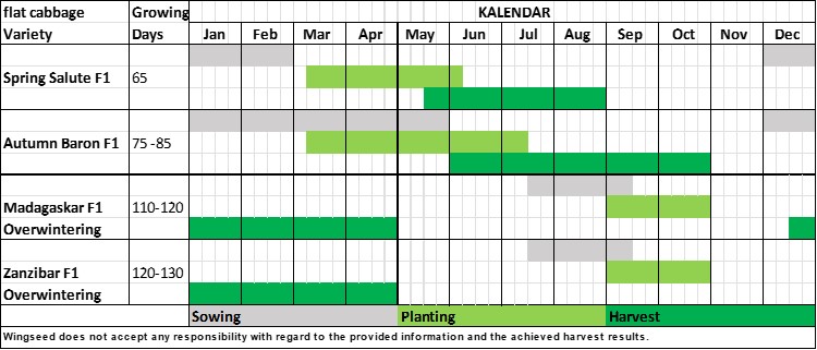 Planning Table