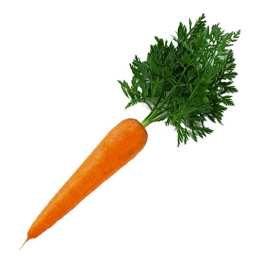 Carrot