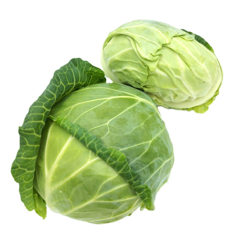 Cabbage flat
