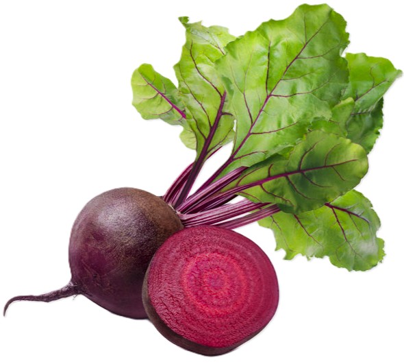 Red Beet