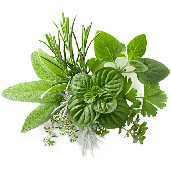 Herbs