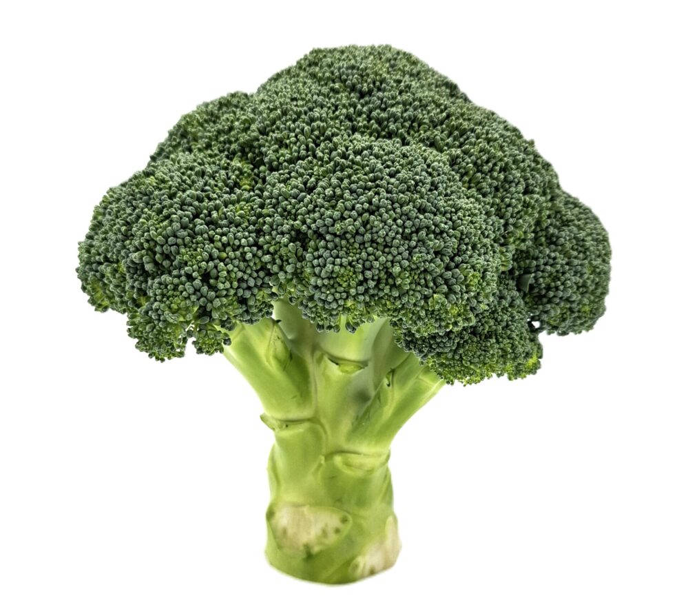 Broccoli