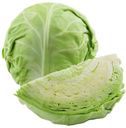 Cabbage White