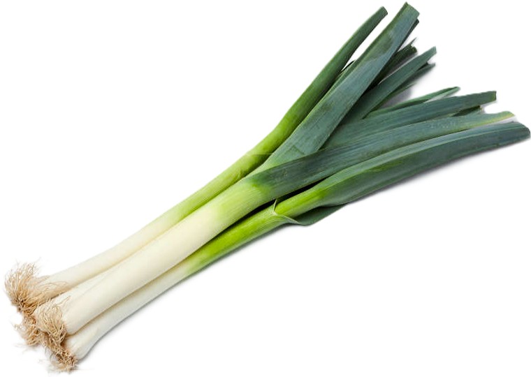Leek