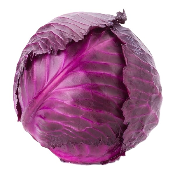 Cabbage red