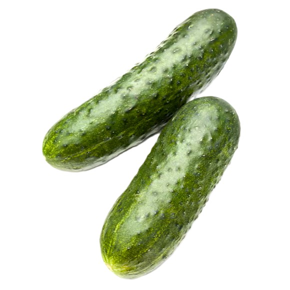 Cucumber pickling pollinated