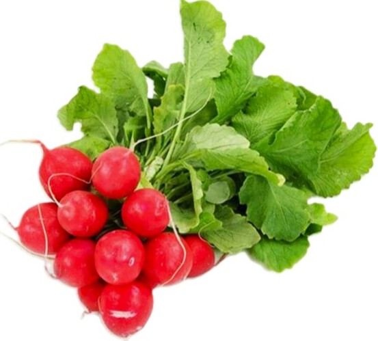 Radish