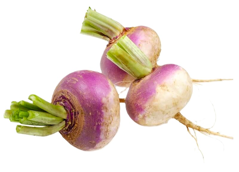 Turnip