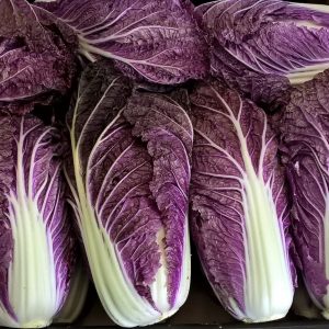 Chinese cabbage Scarrossa F1 (3) Chinese cabbage Scarrossa F1 (3)