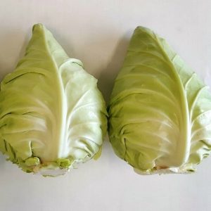 Pointed cabbage WS 3308 F1 (3) Pointed cabbage WS 3308 F1 (3)